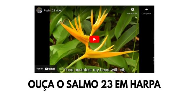 Ouça o Salmo 23 em harpa