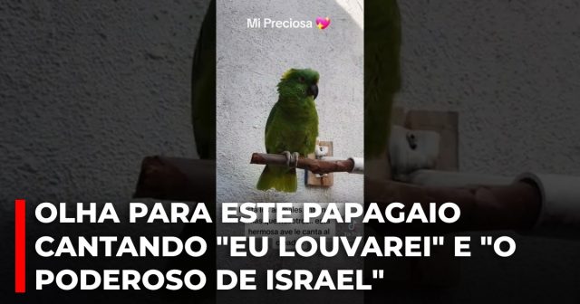 Olha para este papagaio cantando Eu louvarei e O Poderoso de Israel